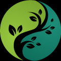 Exploring Functional Medicine Approaches In Charleston County Primary Care