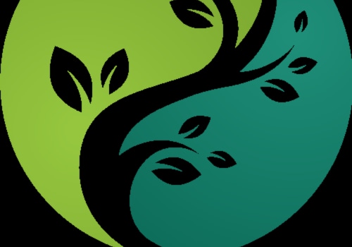 Exploring Functional Medicine Approaches In Charleston County Primary Care